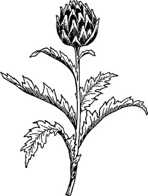 梦见穿新袜子