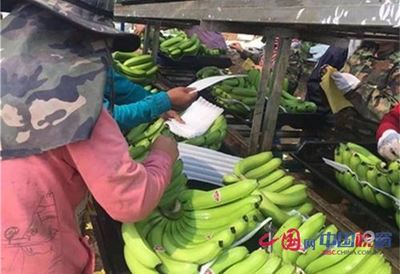 开批发部赚钱吗
