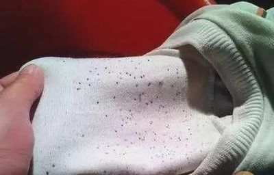 如何洗掉衣服上的黑色霉点? 磁县大脸网络科技有限公司