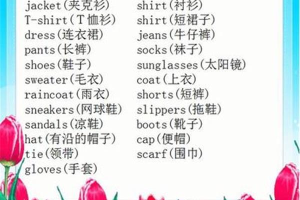 短袖t恤的英文 12个服装单词