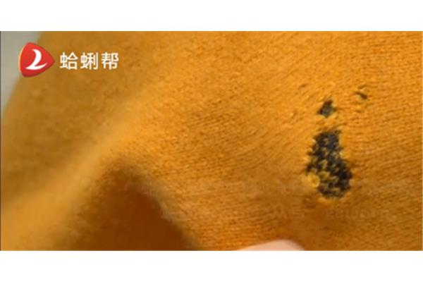 床上有吃毛衣的虫子怎么样除掉 嗑衣服的虫子是什么虫子