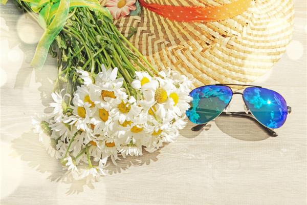 这个帽子花的织法 2021深圳菊花展在哪里举办