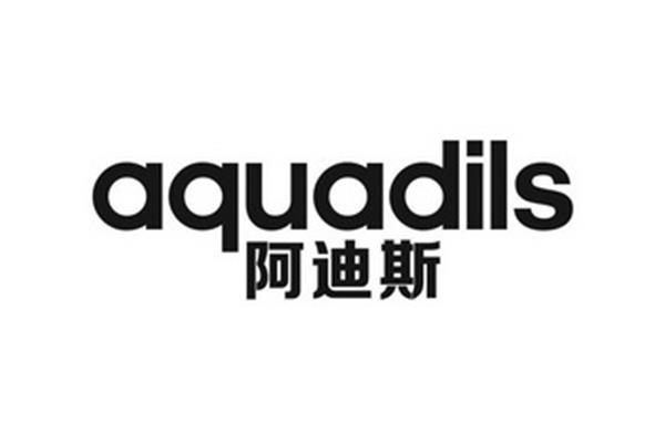 阿迪斯