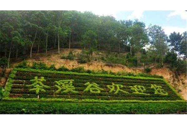 裤子静电吸腿怎么办