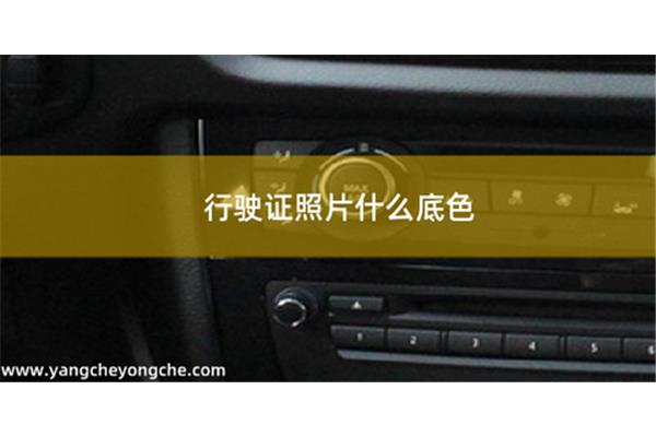 拍驾校照片穿什么衣服