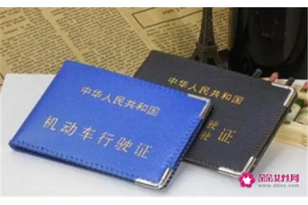 拍驾校照片穿什么衣服