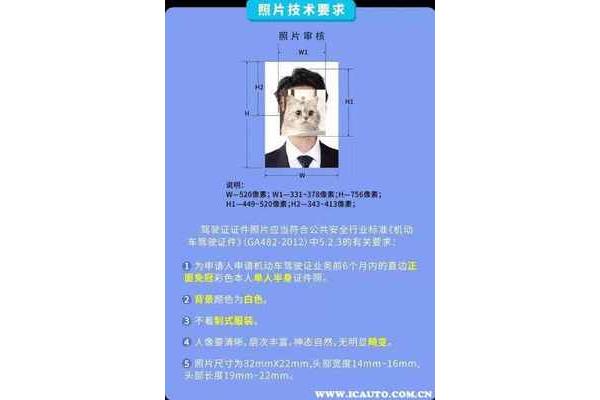 拍驾校照片穿什么衣服