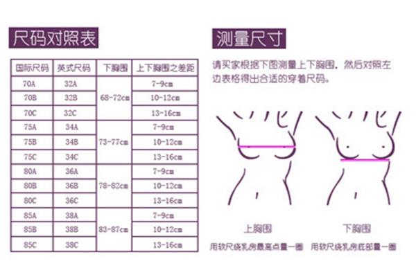 文胸尺码对照表标准版