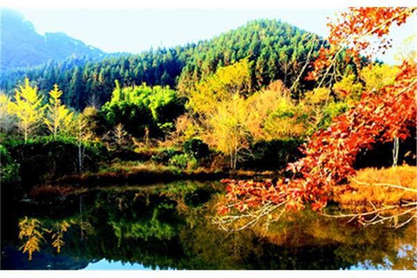 韶关帽子峰