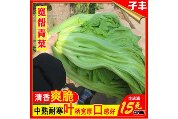 包包菜怎么做泡菜