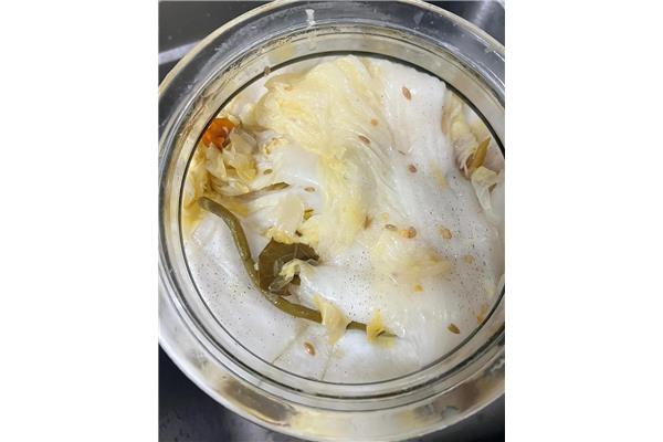 包包菜怎么做泡菜