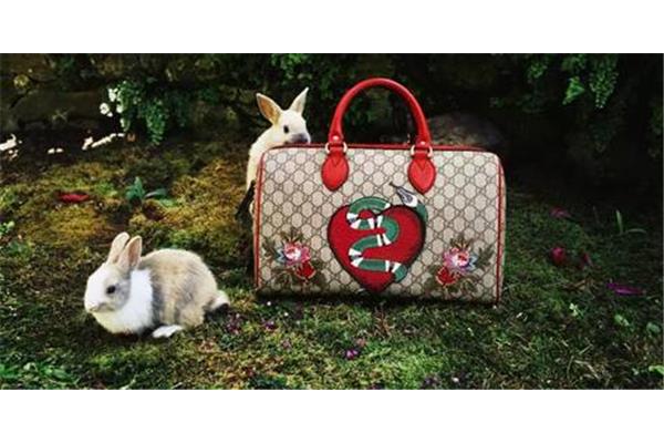 gucci??